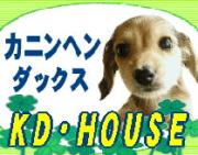 kd-ハウス