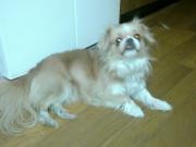 anzuさんのプロフィール