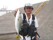 大阪 シーバス・キビレ日記 ♪