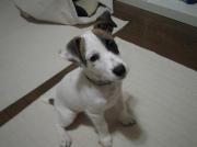 HANNAH-花-の日記