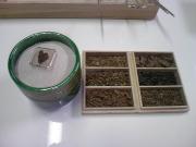 横山光の『もうはまだなりまだはもうなり！！』