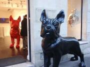 CanadaとあたしのCozyな関係