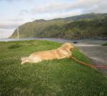 毎日が楽しいクラッチくん