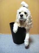 今日もイイネー