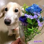 マロンまろんさんのプロフィール