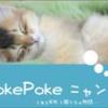 PokePokeにゃんこ