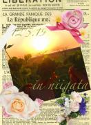 気ままな花日記*