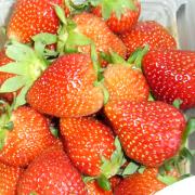 胃がん手術と、術後100日の泣き笑い