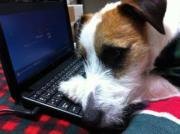 ジャック・ジョージのオフィシャルブログ