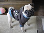 ホップ・ステップ・ブッチ！