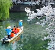 魚、自然、田舎、旅をオヤジが撮影