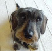 じゅーくんと還暦ままの二人暮らし