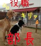 Winculum(うぃんくるむ）