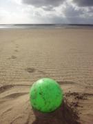 なんかこうシーバスとか釣ってみたい