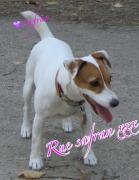 聞き取れない英語は話せない！