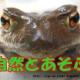 自然とあそぶ