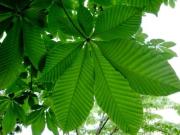 親水公園ライフ