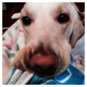 career change ken monik