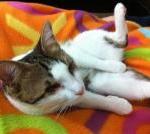 Hedefの日記 in トルコ