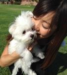 ☆金子由実のブログ〜LOVE アリゾナ&マルチーズ☆