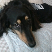 JIROままのブログ