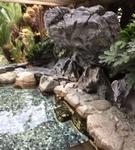 健康ランドと銭湯好きなスーパーサウナー