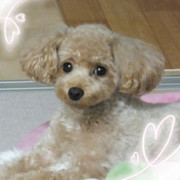 Love Love ぷーちん♪