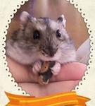 のんびりやってこ◎