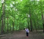 ベルリン東ドイツ観光ガイド通訳