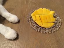 あんもなさん家