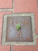 『オサンポ暮らし』日々のスキマにオサンポの楽しささんのプロフィール