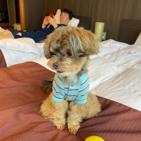 岩手に戻ったヲヤヂより･･･