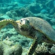 モルディブ旅行記2014