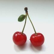 ちぇりーさんのプロフィール