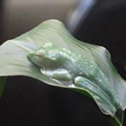 40歳の私に突然訪れた試練 〜一人暮らしの闘病日記〜