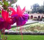 トールペイント＆フェイスペイント（千葉・幕張）