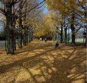 60歳からの健康と生き方