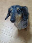 ゆーつー情報局（仮）