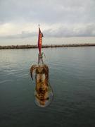 週末はエギングでリフレッシュ！