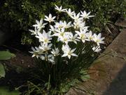 つりびなと今好きな事