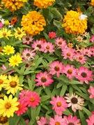 心地いいLife -Toronto-