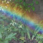 ちっちゃい庭とおっきい空と。