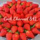 Cook Channel 841
