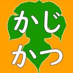 カジナミクス(KAJINAMIX)