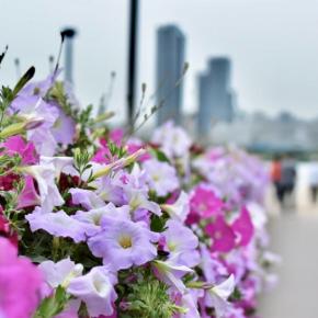 アラサー女、会社辞めて韓国留学へ行く