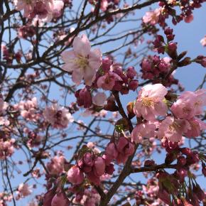 いつかこの日々を思い出して、泣きながらお酒を飲みたい