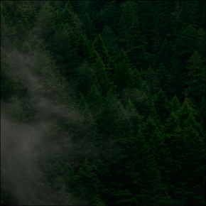 トイトブルクの勉強の森