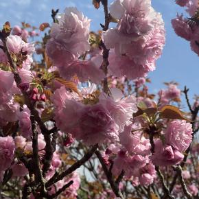 中国 音楽 听听乐