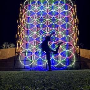 ヤシの木の下台湾留学