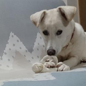 大工かたさんの七転八起